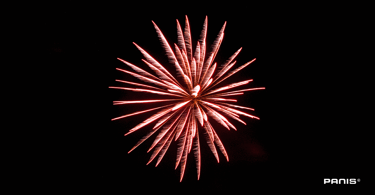 Panis wishes you a happy Holiday Season